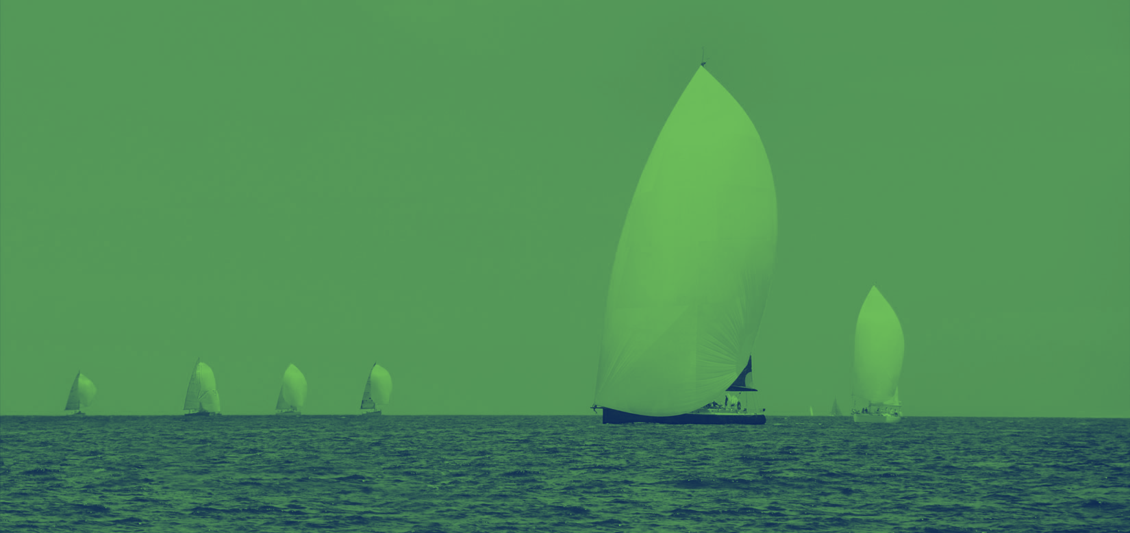 duotone (3)